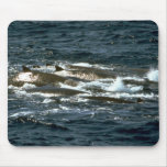 Baird's beaked whale mousepads