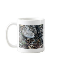 Baird's Sandpiper on Nest Coffee Mugs