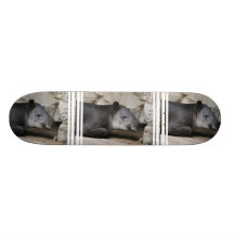 Bairds Tapir Skateboard