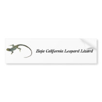 Baja California Leopard Lizard Bumper Sticker