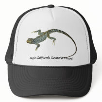 Baja California Leopard Lizard Mesh Hats