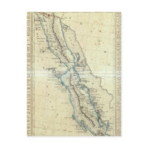 Baja California, Mexico Postcard