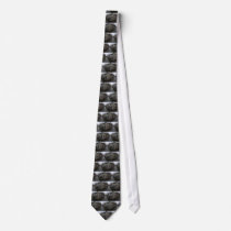 Bakenessergracht, Haarlem Ties
