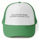 Balaenae Nobis Hat