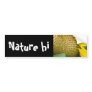 balance the sun bumper sticker