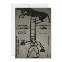 Balancing a Living Donkey ~ Invitations
