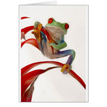Balancing Act Greeting Card