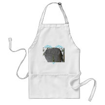 Balancing Rock at Castle Rock Aprons