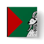 Balawaristan, Pakistan Pins