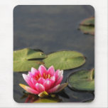 balboa park Lily mousepad