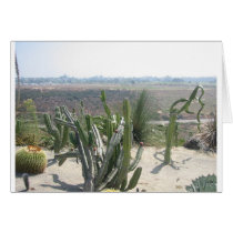 Balboa Park, San Diego cards