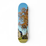 Balboa Park Tower Skateboard