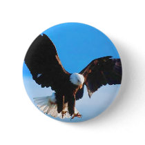 Bald American Eagle Pinback Button