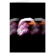 Bald American Eagle Cards