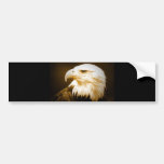 Bald American Eagle Eye Bumper Sticker