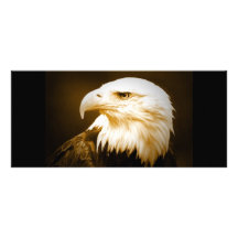 Bald American Eagle Eye Custom Rack Card