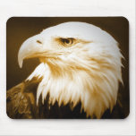 Bald American Eagle Eye Mousepads