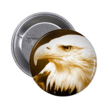 Bald American Eagle Eye Pinback Buttons