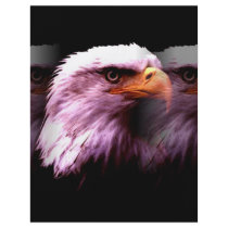 Bald American Eagle Flyer