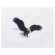 Bald American Eagle Landing Full Color Flyer