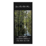 Bald cypress trees in swamp customized rack card