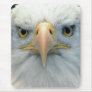 Bald Eagle #1-Mousepad