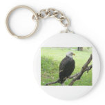 Bald Eagle 2 Keychain