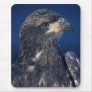 Bald Eagle #3-Mousepad