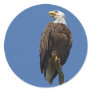 Bald Eagle 4 Round Stickers