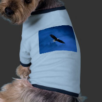 Bald-Eagle-Alaska pet clothing