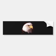 Bald Eagle American Eagle Bumper Sticker