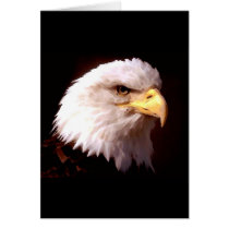 Bald Eagle American Eagle Greeting Card