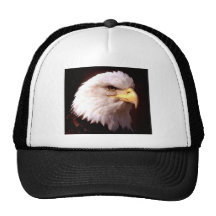 Bald Eagle American Eagle Mesh Hats