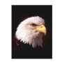 Bald Eagle American Eagle Post Cards