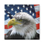 Bald-Eagle-American-Flag Magnets
