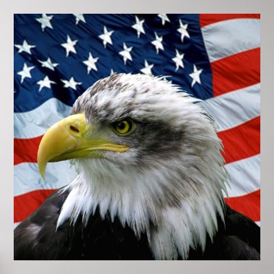 Bald Eagle American Flag Print by tjustleft