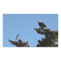 Bald Eagle and Magpie Staredown Rectangular Stickers