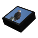 Bald Eagle Blue Sky Trinket Box