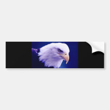 Bald Eagle Bumper Stickers