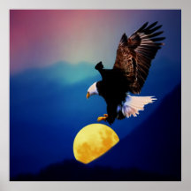 Bald eagle chases the full moon posters