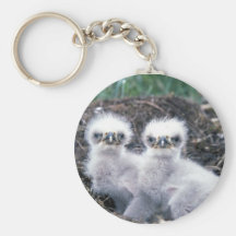Bald Eagle Chicks Keychain