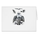 Bald Eagle Collage Pencil drawing sketch Greeting Cards