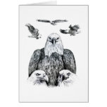 Bald Eagle Collage Pencil drawing sketch Greeting Card