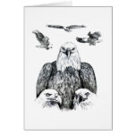 Bald Eagle Collage Pencil drawing sketch Greeting Card