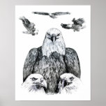 Bald Eagle Collage Pencil drawing sketch Print
