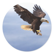 Bald Eagle Dive Sticker