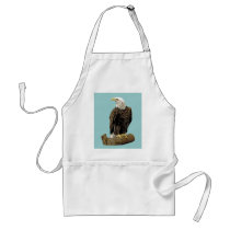 Bald Eagle Drawing Apron