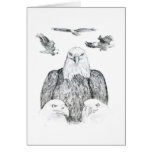 Bald Eagle Drawing Greeting Card