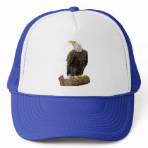 Bald Eagle Drawing Mesh Hats