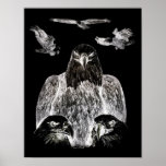 Bald Eagle Drawing, Inversion of Pencil drawing Poster